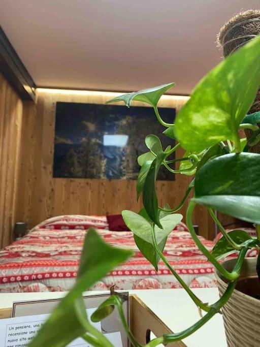 Residenze Vezza - La Corteccia- Apartment Vezza d'Oglio Luaran gambar